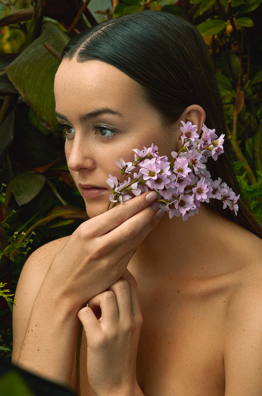 Beauty Femal Nature Simple Flowers href=